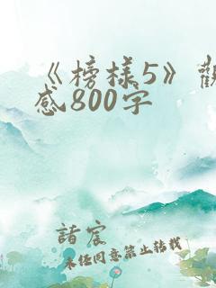 《榜样5》观后感800字