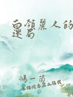 白领丽人的危情迷局