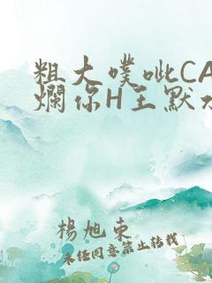 粗大噗呲CAO烂你H王默水王子