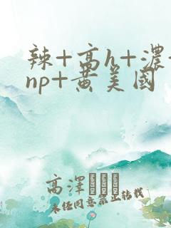 辣+高h+浓+np+黄美国