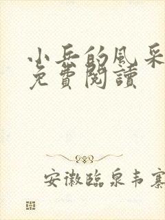 小兵的风采小说免费阅读