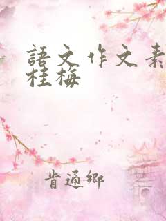 语文作文素材张桂梅