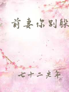 前妻你别躲