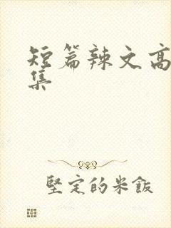 短篇辣文高h合集