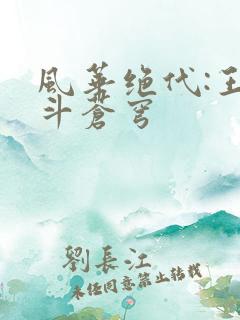 风华绝代:王妃斗苍穹