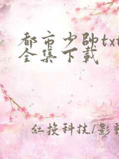 都市少帅txt全集下载