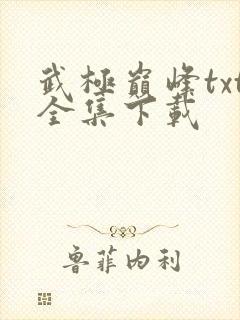 武极巅峰txt全集下载