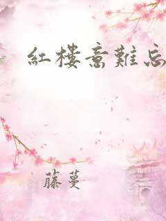 红楼意难忘