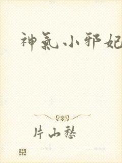 神气小邪妃