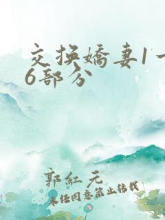 交换娇妻1一36部分