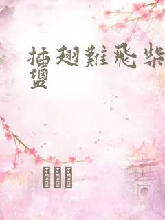 插翅难飞柴米油盐