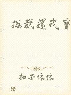 总裁还我宝宝