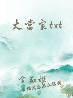 大当家txt