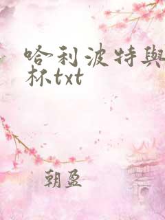 哈利波特与火焰杯txt