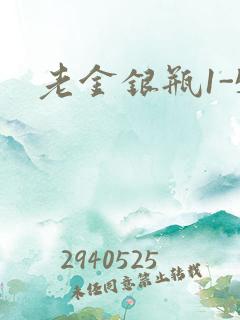 老金银瓶1-5