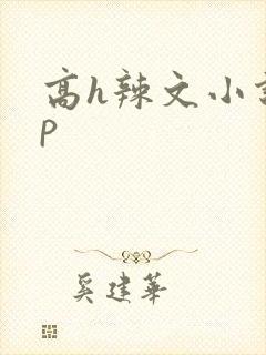 高h辣文小说np