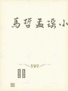 马哲孟瑶小说