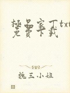 极品家丁txt免费下载