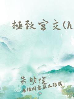 极致宫交(h)
