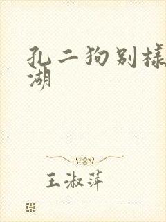 孔二狗别样的江湖