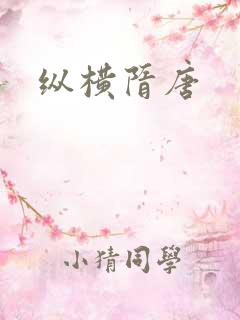 纵横隋唐