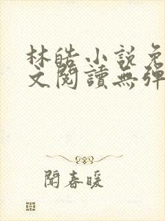 林皓小说免费全文阅读无弹窗