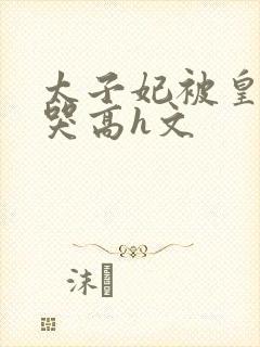 太子妃被皇上c哭高h文