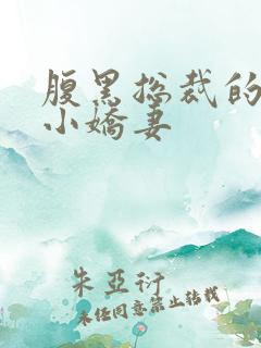 腹黑总裁的杀手小娇妻