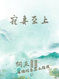 宠妻至上