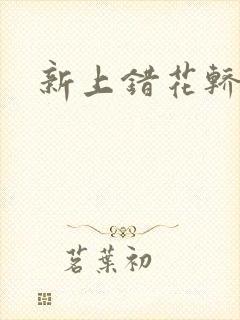 新上错花轿