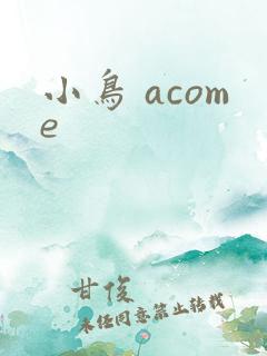小鸟 acome