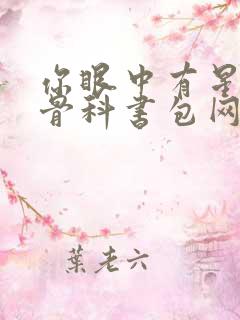 你眼中有星辰h骨科书包网