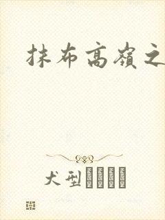 抹布高岭之花h