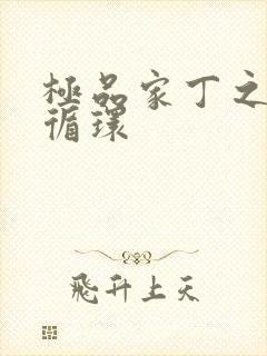 极品家丁之因果循环