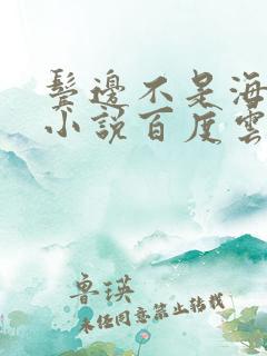 鬓边不是海棠红小说百度云