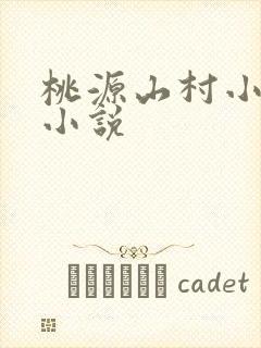桃源山村小神医小说