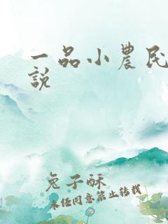 一品小农民 小说