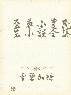 至尊小农民王木生小说全集下载