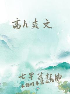 高h爽文