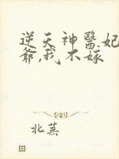 逆天神医妃:王爷,我不嫁
