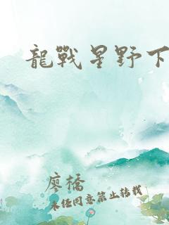 龙战星野下载