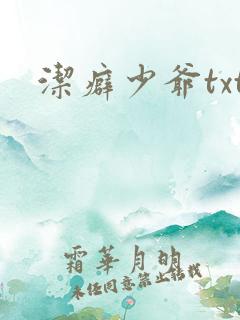 洁癖少爷txt