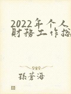 2022年个人财务工作总结