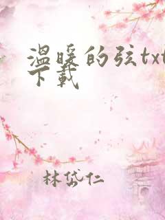 温暖的弦txt下载