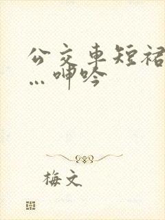 公交车短裙挺进…呻吟