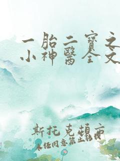 一胎二宝之弃妃小神医全文免费阅读