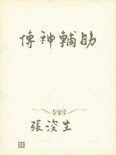 传神辅助