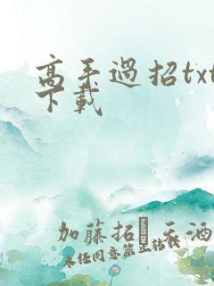 高手过招txt下载