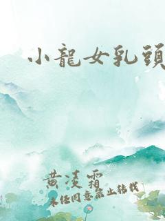 小龙女乳头