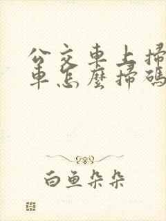 公交车上扫码乘车怎么扫码
